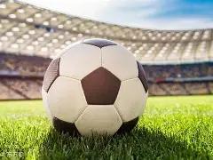 樊振东,战胜王楚钦,巅峰之战精,QY球友会,QiuYou,Sports,QY球友会注册网址,QY球友会app,QY球友会官网,QY球友会网站,QY球友会下载